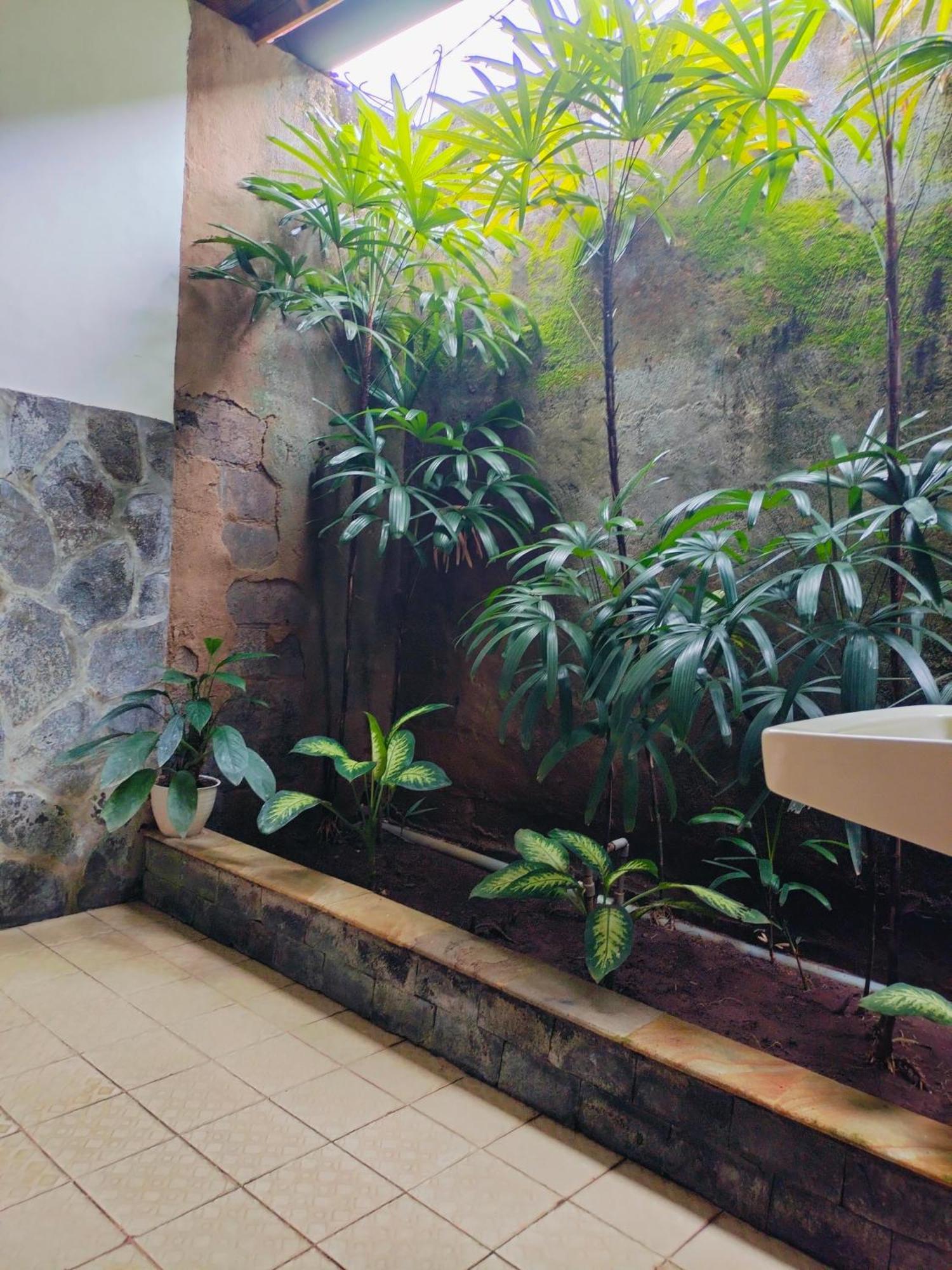 Bayumantra Bungalows Lovina Dış mekan fotoğraf