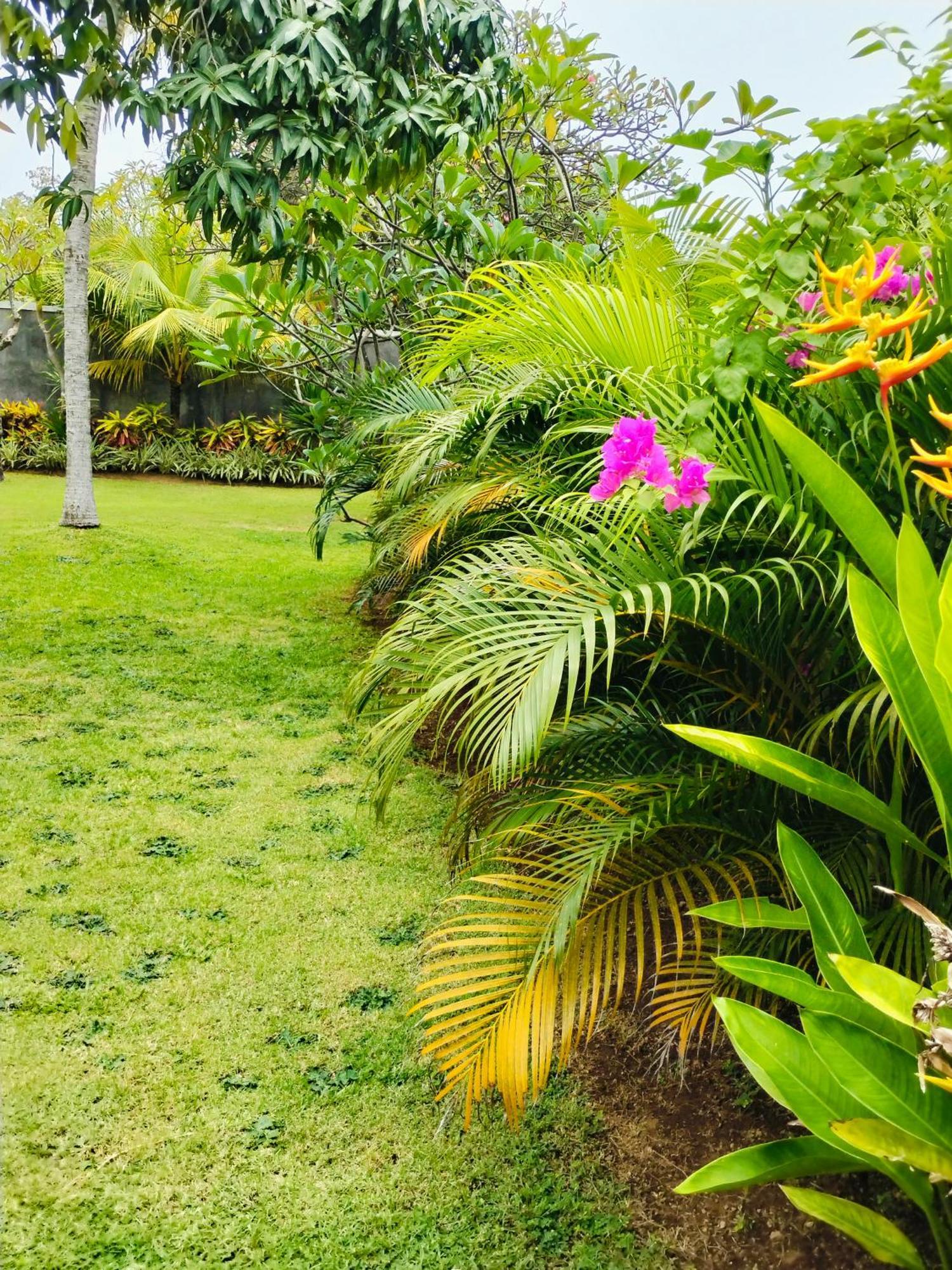 Bayumantra Bungalows Lovina Dış mekan fotoğraf
