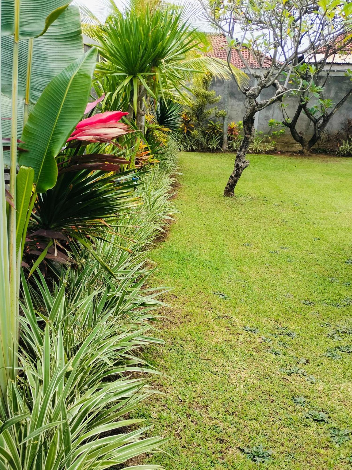 Bayumantra Bungalows Lovina Dış mekan fotoğraf